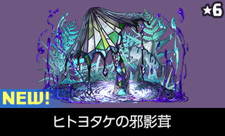 ヒトヨタケの邪影茸 NEW!