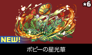 ポピーの星光華 NEW!