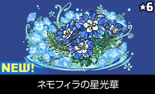 ネモフィラの星光華 NEW!