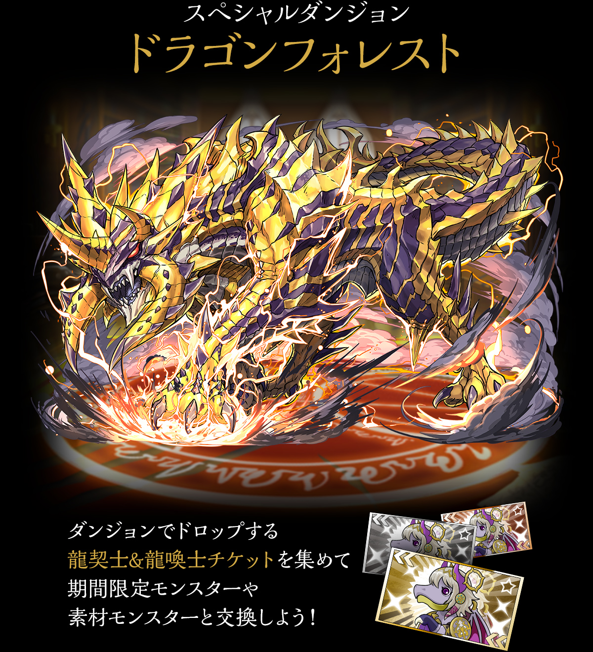 ドラゴンフォレスト