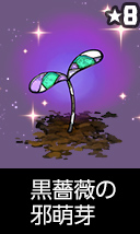 黒薔薇の邪萌芽